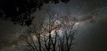 Las estrellas escondidas de Paraguay el corazn de Latinoamrica  