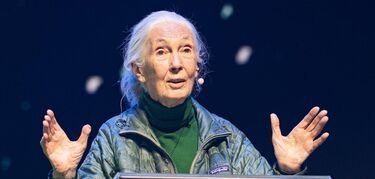 Starmus festival 2025
