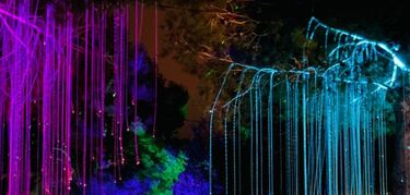 astro magic lights bibo