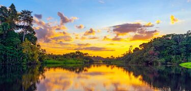 Estrellas en el Amazonas la regin ms biodiversa del mundo