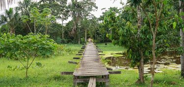 Parque Nacional Natural Amacayacu, Amazonas