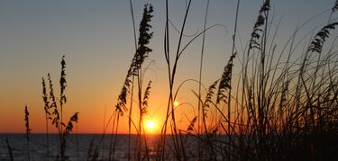 St. Joseph Peninsula State Park, Florida