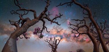 Milky Way Photographer of the Year 2025