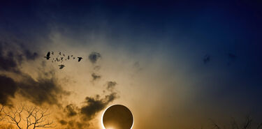 Cuando el Sol se apaga y la naturaleza habla as estudiar la ciencia el eclipse de 2026