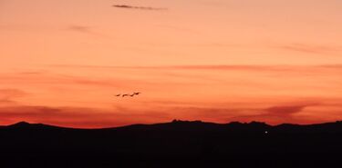 Laguna de Gallocanta uno de los mejores cielos esteparios para ver estrellas en Espaa