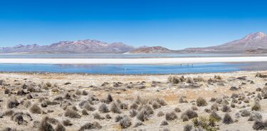Salinas y Aguada Blanca el cielo andino de Per que conquista a los astrocuriosos