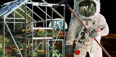 50 plantas que nos ayudan a vivir en la Tierra y algn da en el espacio