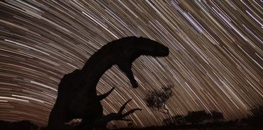 JumpUp  un santuario de Cielo Oscuro en Australia lleno de dinosaurios