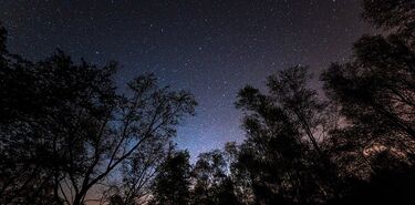 Bosque de Galloway Un Refugio para los Amantes del Astroturismo en Escocia