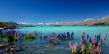 Estrellas en el lago Tekapo de Nueva Zelanda