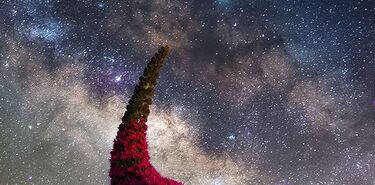 Las imgenes nocturnas ms bellas compartidas en redes el Da Mundial de la Astronoma