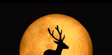La superluna ms cercana de 2022 es hoy