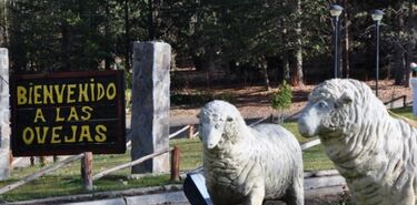 Las Ovejas miran al cielo de Neuquen