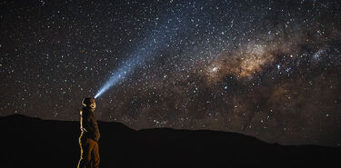 Pica la flor en la arena de Chile crece mirando a las estrellas