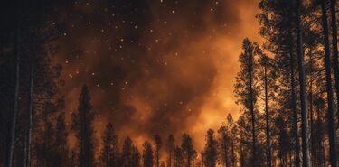 ACTUALIZADA Quin puede querer apagar las estrellas de Tenerife