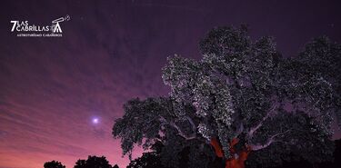 Turismo de estrellas en Cabaeros de la mano de Las 7 Cabrillas 