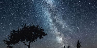 Dnde estn los Parques de Estrellas de Alemania