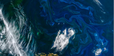 Islas Malvinas buscando estrellas en el fin del mundo  