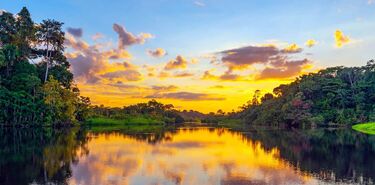 Estrellas en el Amazonas la regin ms biodiversa del mundo