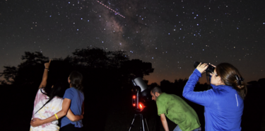 Cabaeros del susurro del bosque al abrazo del cielo nocturno