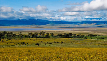 Cráter Ngorongoro