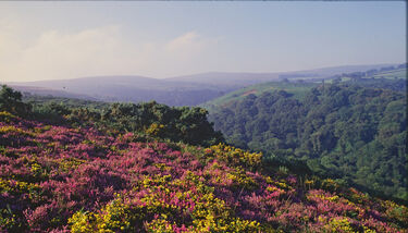 Reserva Exmoor Dark Sky