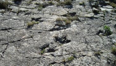 Reserva de la Biosfera de la Rioja