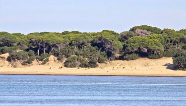 doñana