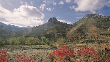 Reserva de la biosfera Leza Jubera