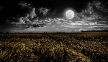 luna cosecha