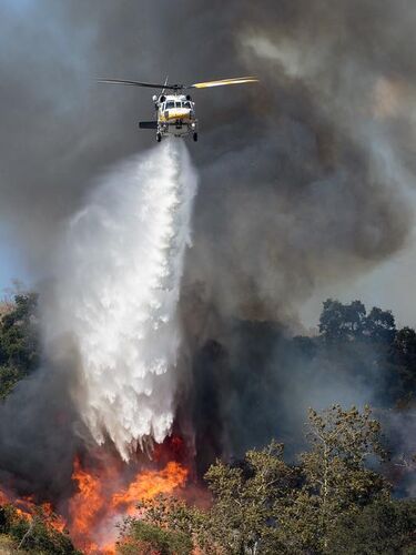 incendio Jarilla