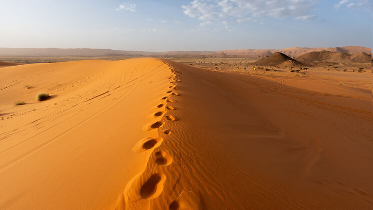 Ouzina Network Telescope