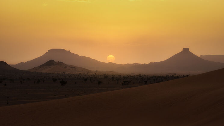 Ouzina Network Telescope