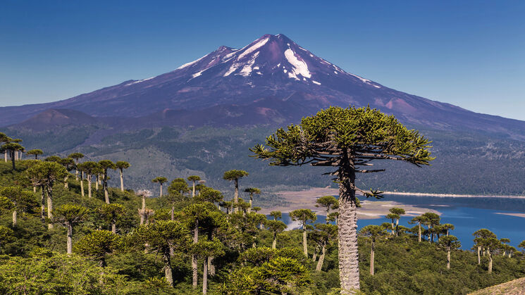 volcan llaima conguilliochile