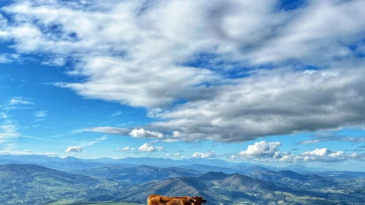 miera cantabria