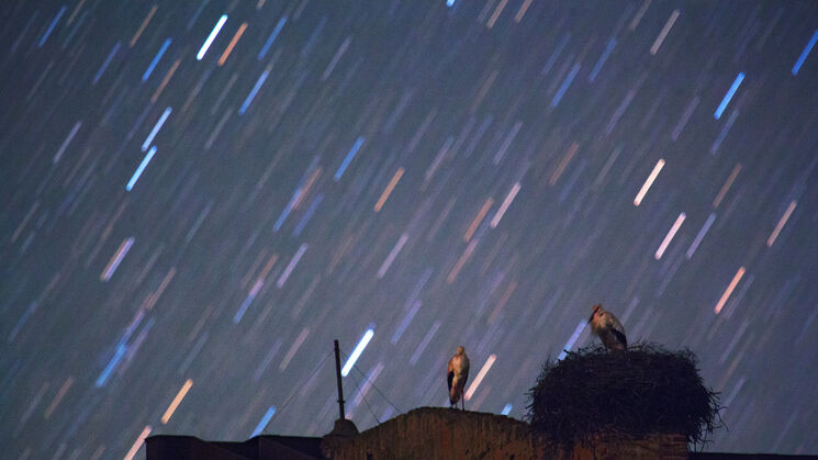  Perseidas Extremadura