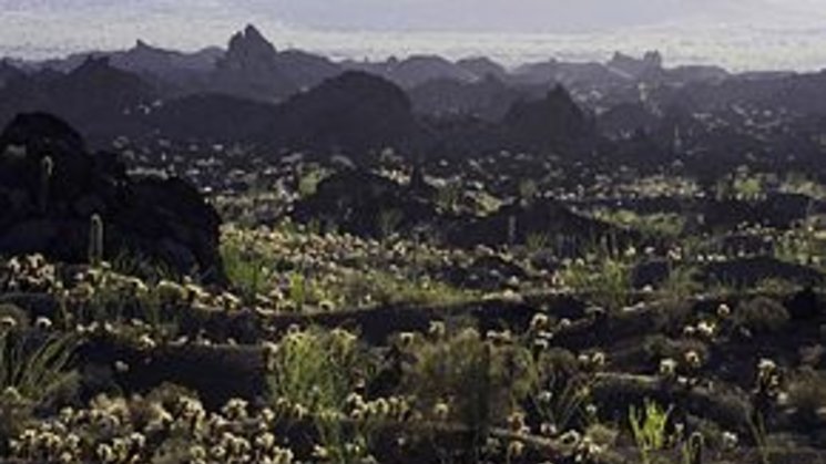 Reserva de la biosfera El Pinacate y el Gran Desierto de Altar