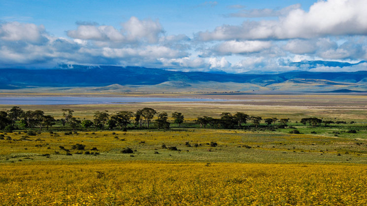 Crter Ngorongoro