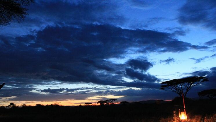 Llanuras del Serengeti