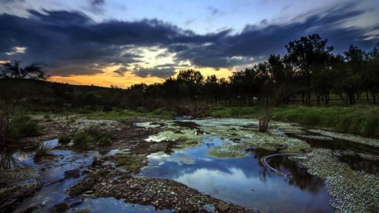 Reserva Dark Sky Alqueva