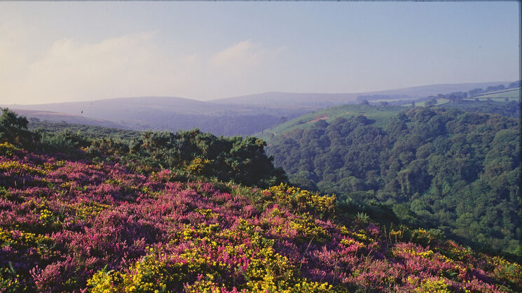 Reserva Exmoor Dark Sky