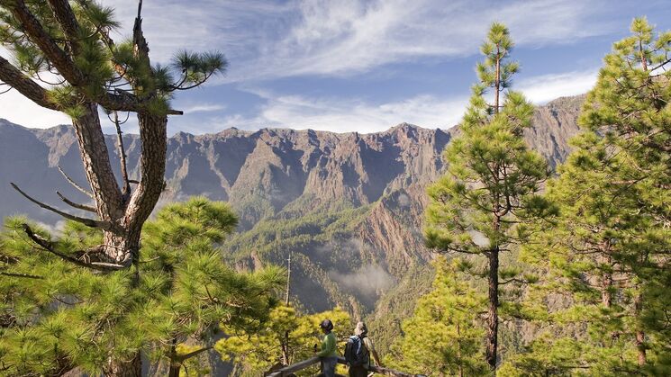 La Palma