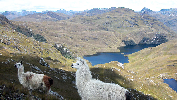 Parque Nacional Cajas Ecuador