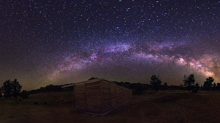 Entre Encinas y Estrellas 2019