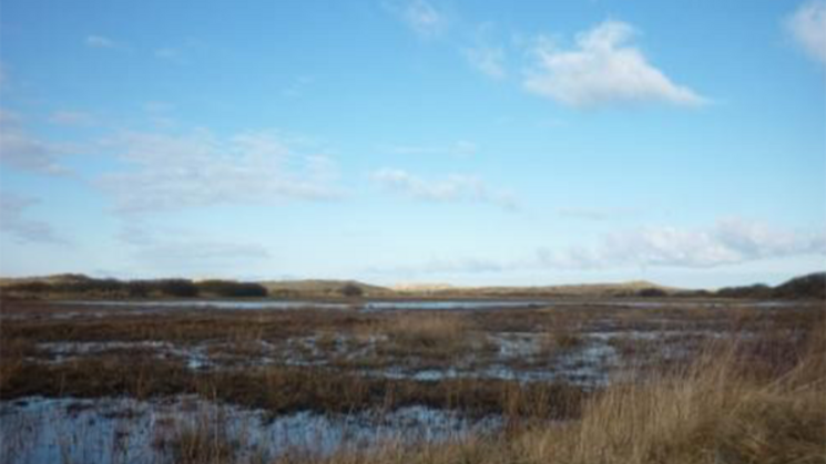 De Boschplaat Holanda