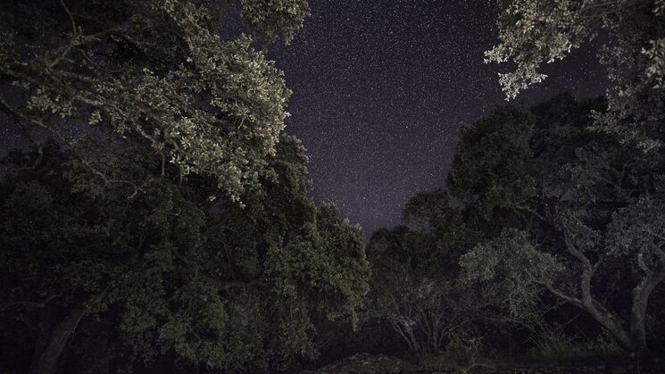 Senderos Nocturnos de Extremadura