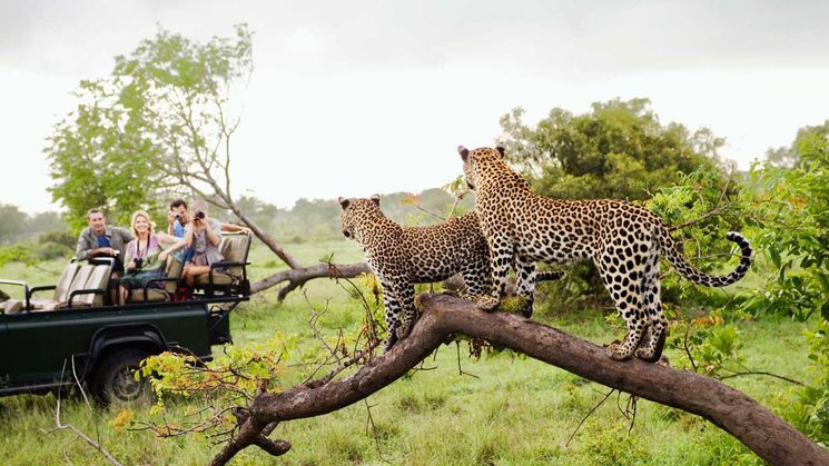 Parque Nacional Kruger Sudfrica