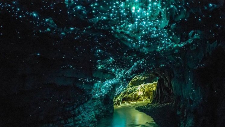 Cuevas de Waitomo Nueva Zelanda