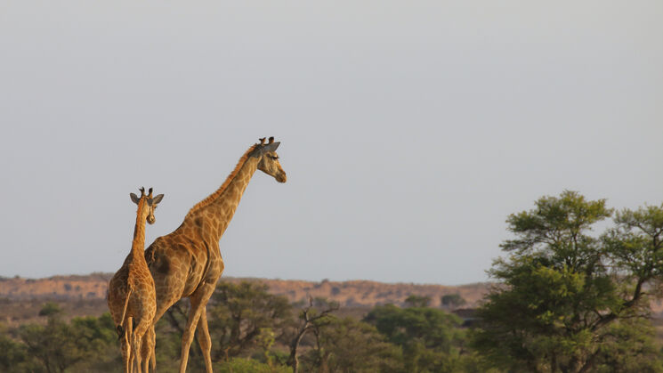 Parque del Patrimonio Ae Hai Kalahari