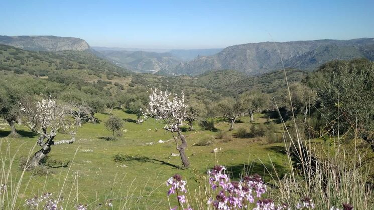 Duero Internacional